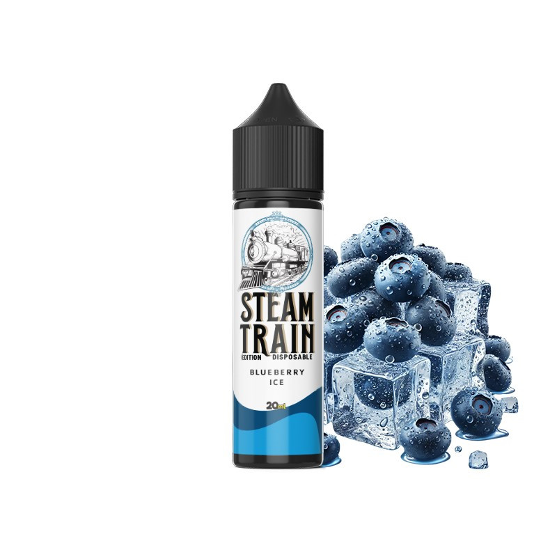 Steam Train Disposable Edition Blueberry Ice 20ml/60ml